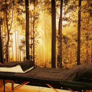 massage - Naturopathe Langon
